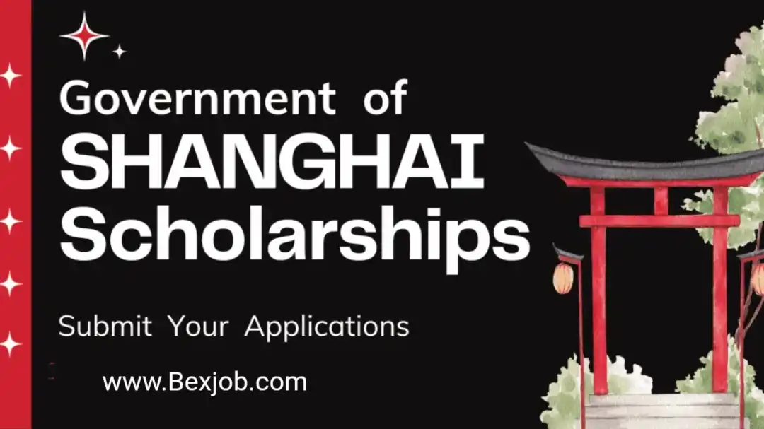 Shanghai Government Scholarships 2024-2025