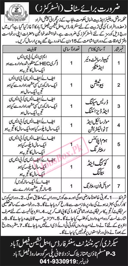 Social Welfare and Bait ul Mal Department Punjab Jobs 2024 Advertisement