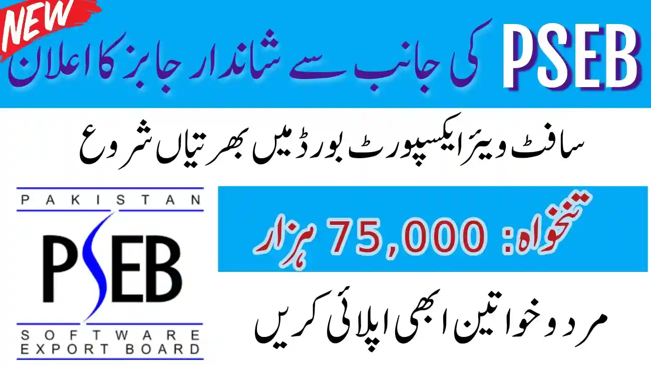 Pakistan Software Export Board PSEB Jobs 2024 NJP Apply Form Online