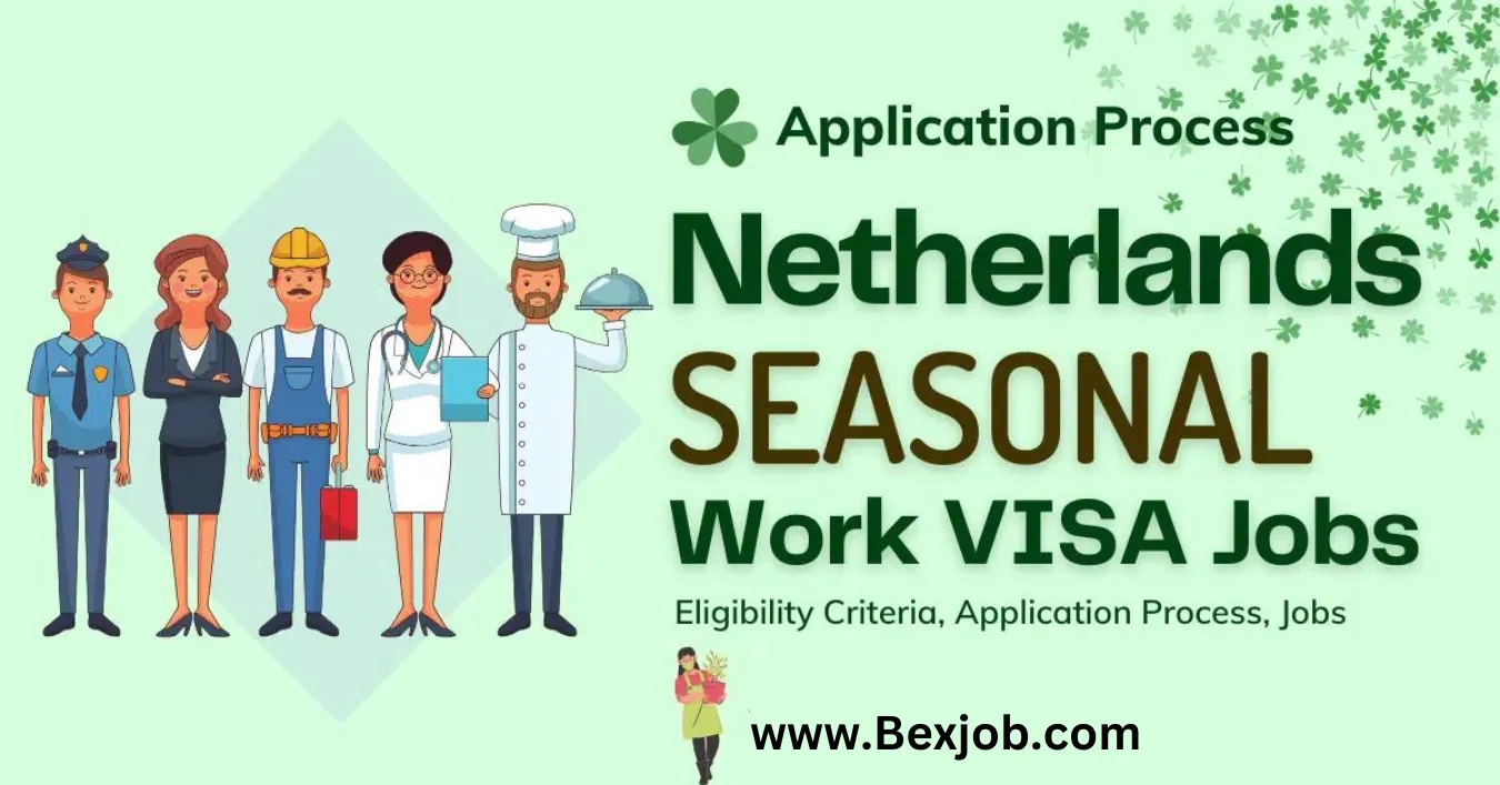 Netherlands Seasonal Work VISA Jobs 2024