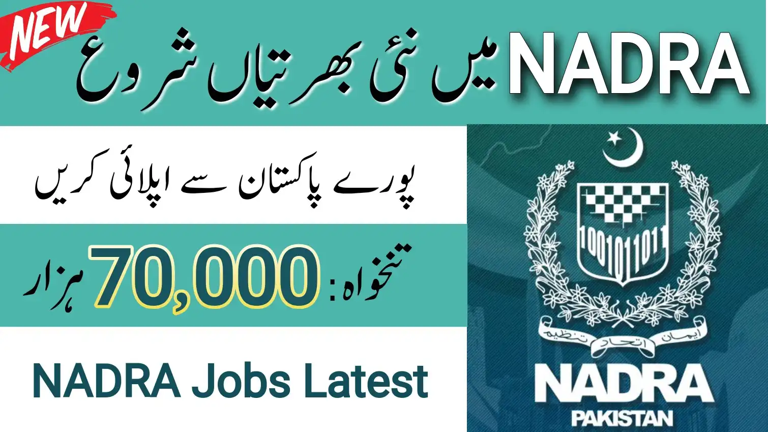 NADRA Jobs 2024 | ExpertJobs24