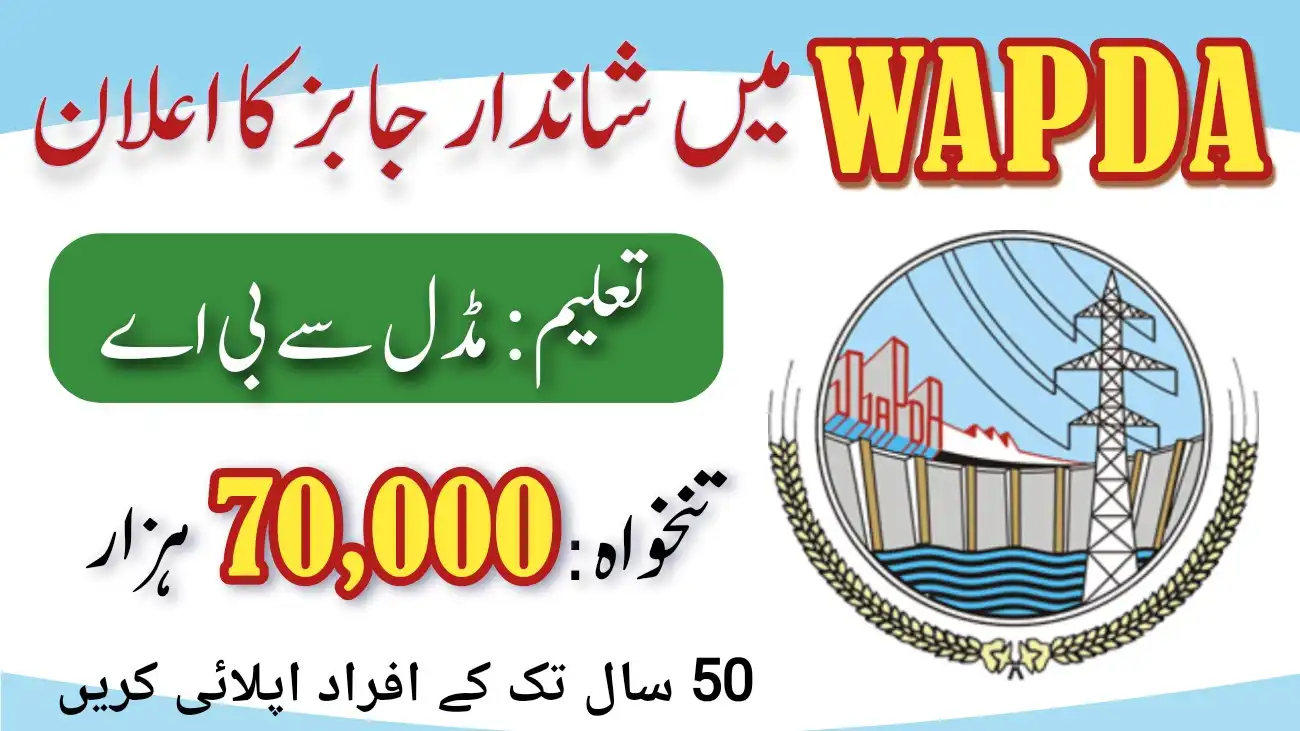 WAPDA Jobs 2024 | Online Jobs in Pakistan