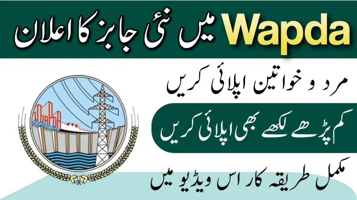 WAPDA Jobs 2024 Advertisement