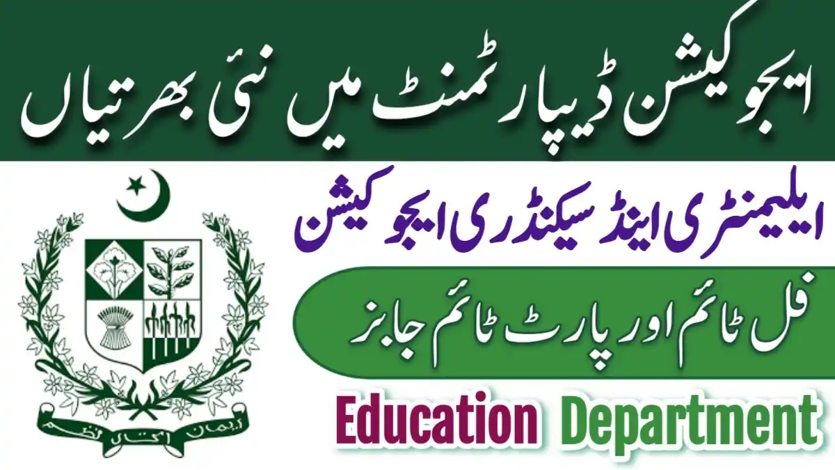 Elementary & Secondary Education Department Jobs 2024