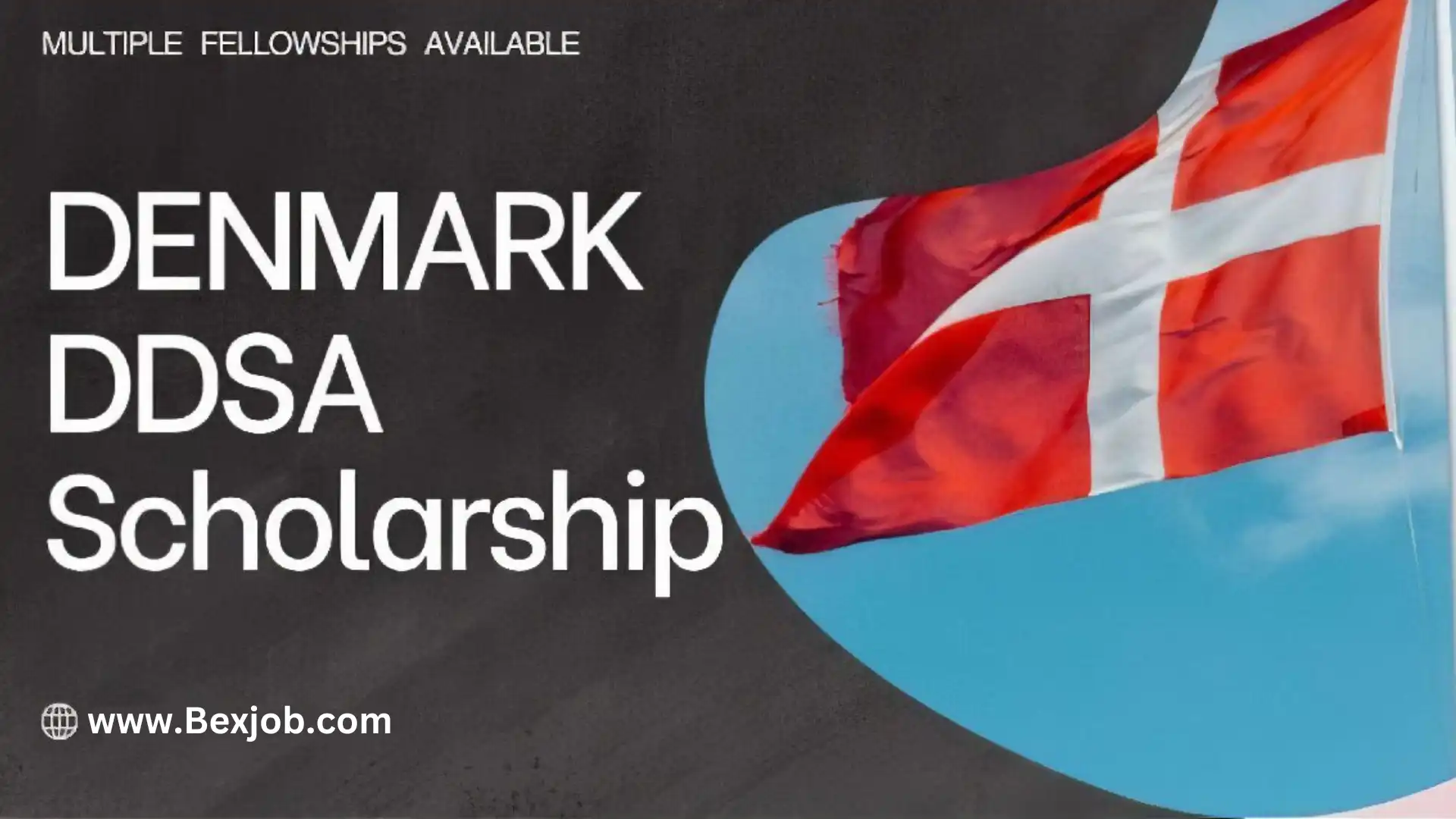 Announcement of DDSA Visit Grant Scholarships 2024 in Denmark