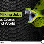 Snake Milking Work Jobs, Incomes, Courses, and Eligibility Requirements (Around the World)