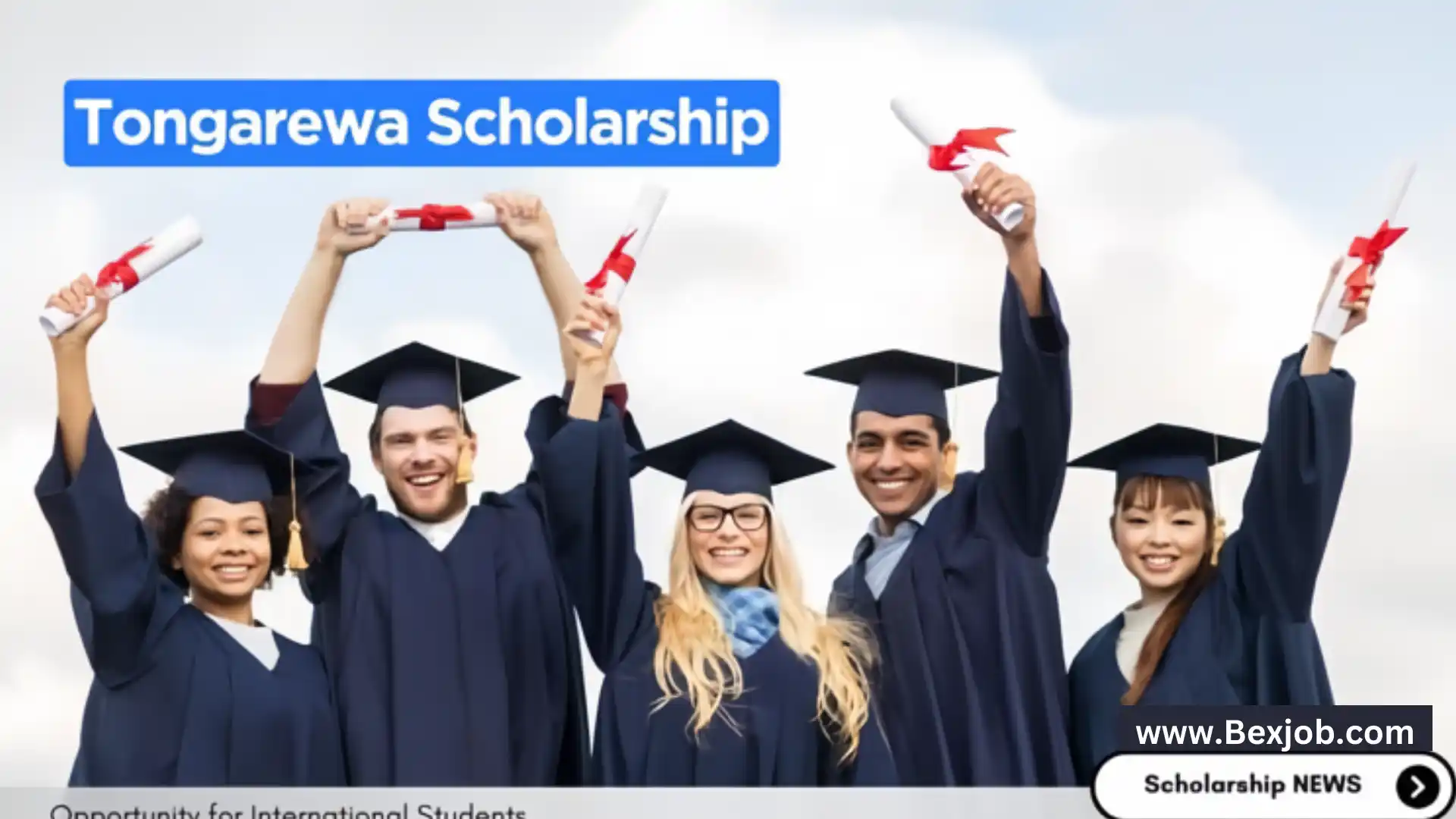 Tongarewa International Scholarship for Spring 2025 Opening